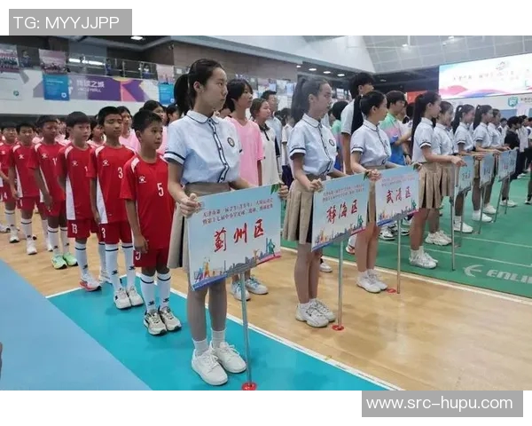 特写:谁在“围观”三大球运动会?